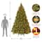 10ft. Pre-Lit Downswept Douglas® Fir Tree, Dual Color LED Lights